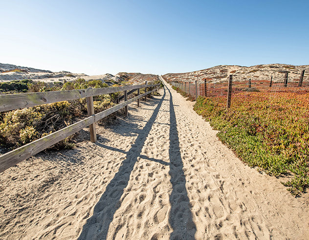 Marina Dunes RV Resort