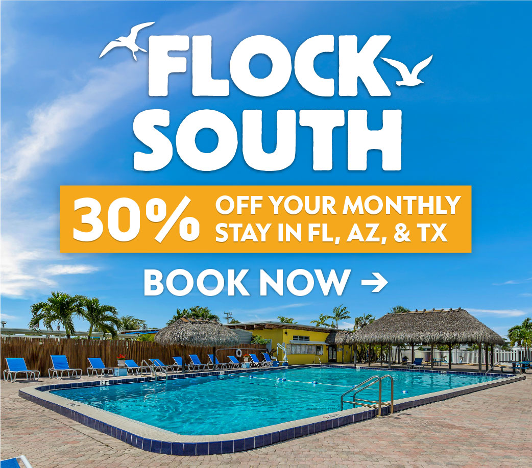 Flock South